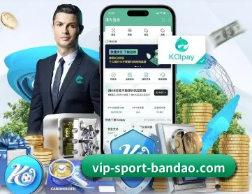 半岛综合 APP 深度功能